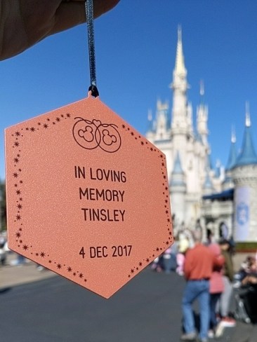 Tinsley Disney